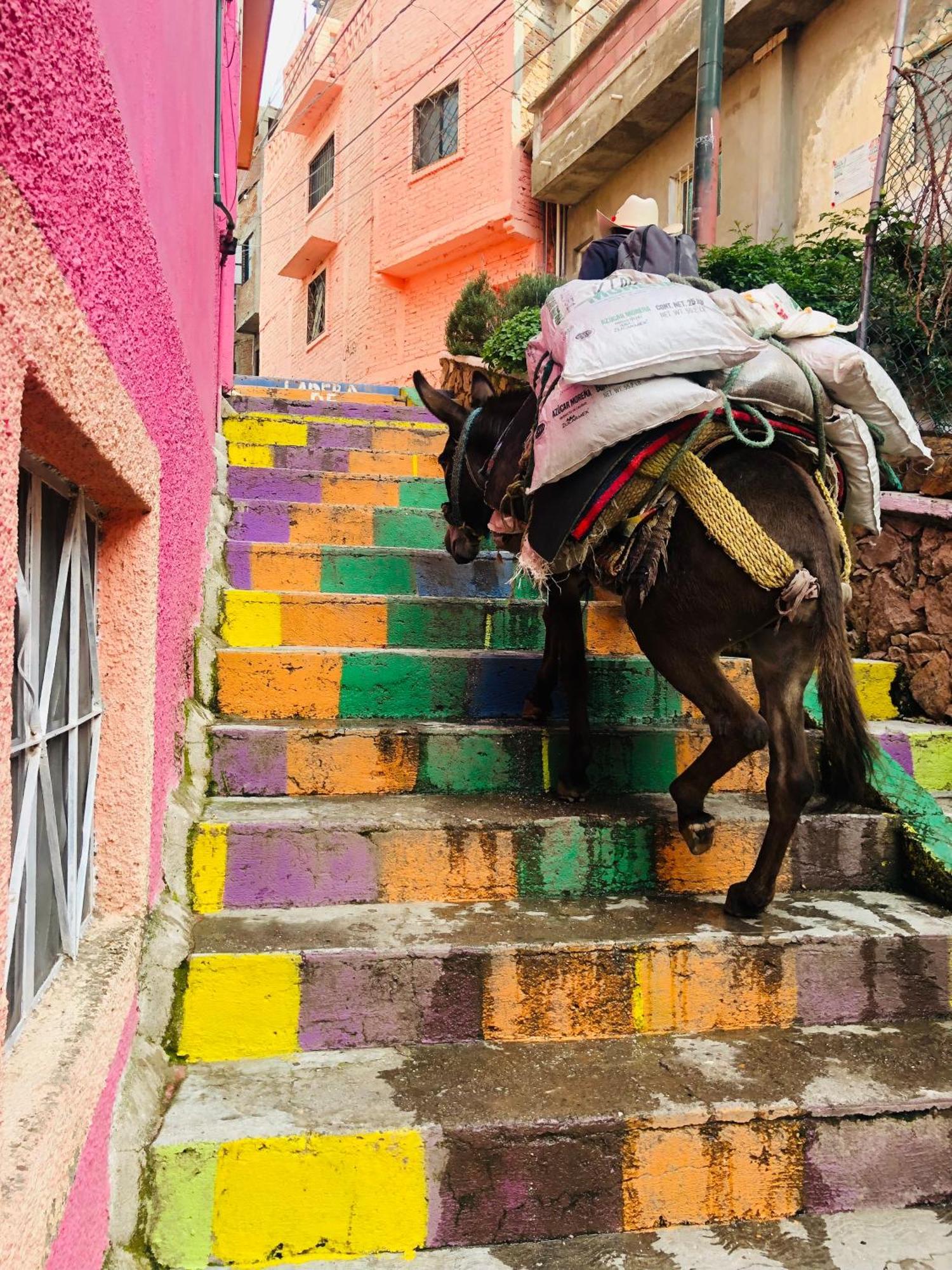 Home Sweet Home Guanajuato Ngoại thất bức ảnh